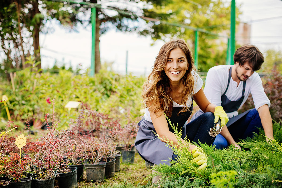 gardening